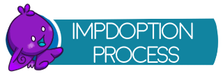 Impdoption Process